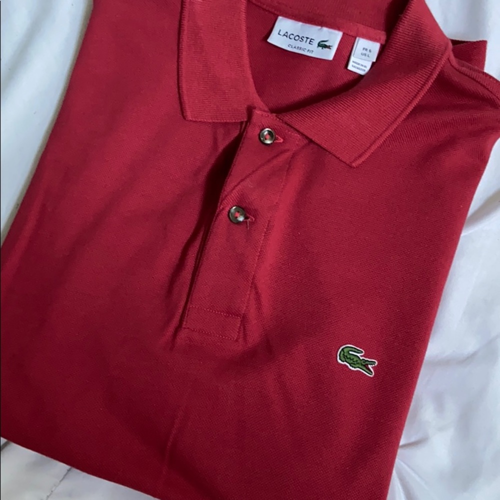 Authentic Lacoste Polo - Picture 3 of 3
